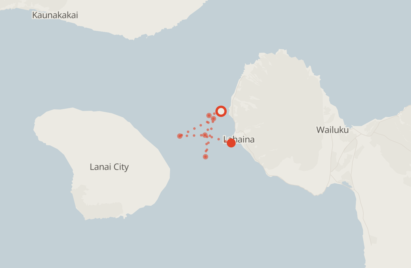 Activity map — real sighting points on an OpenStreetMap basemap