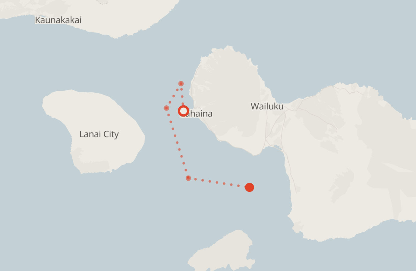 Activity map — real sighting points on an OpenStreetMap basemap
