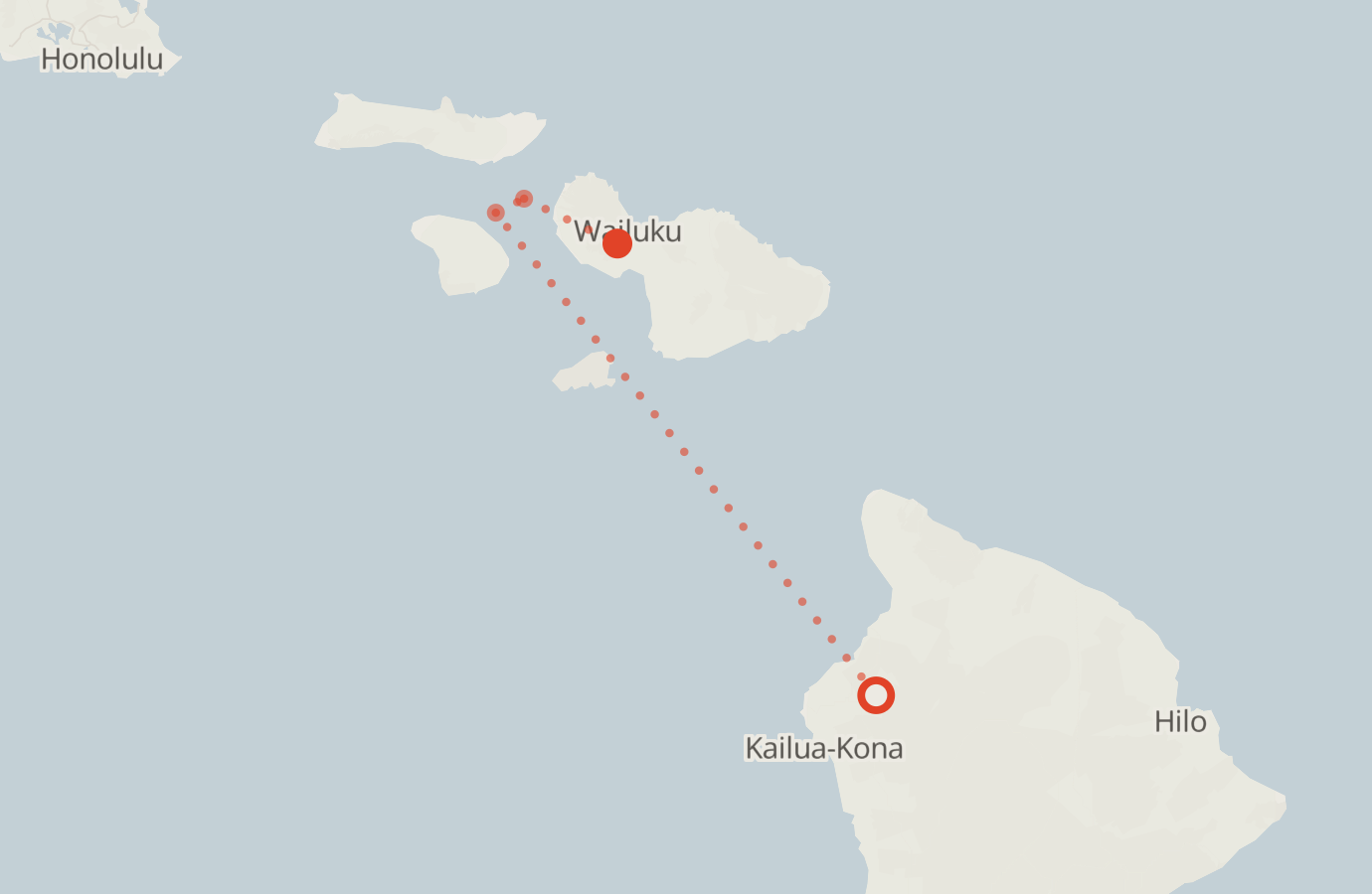 Activity map — real sighting points on an OpenStreetMap basemap