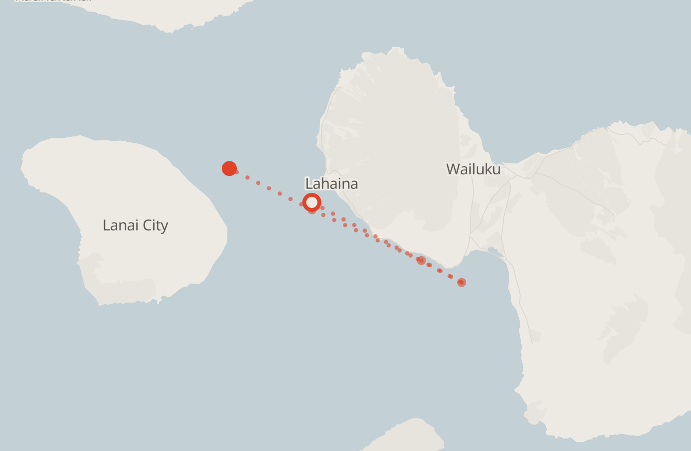 Activity map — real sighting points on an OpenStreetMap basemap