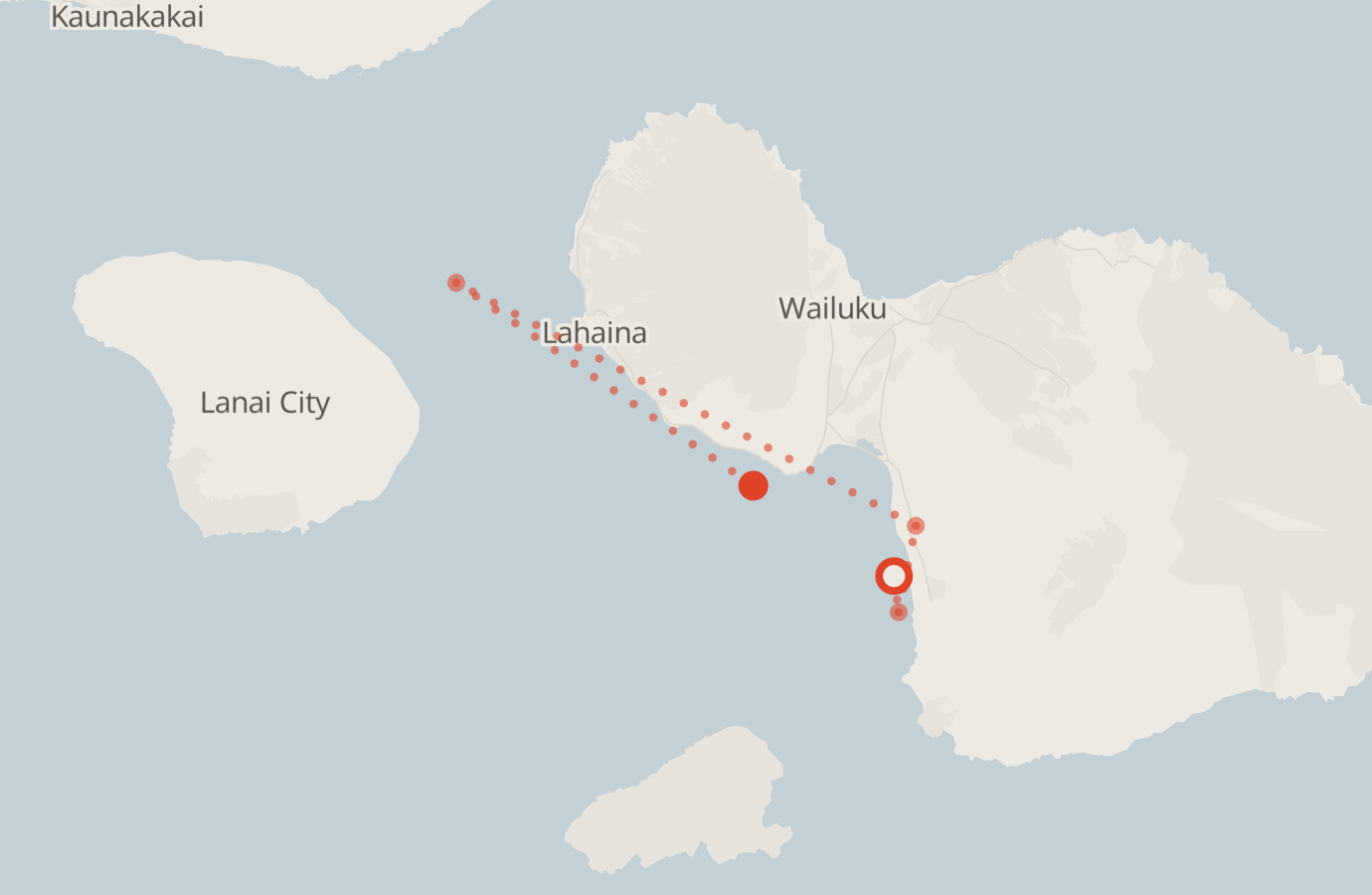 Activity map — real sighting points on an OpenStreetMap basemap