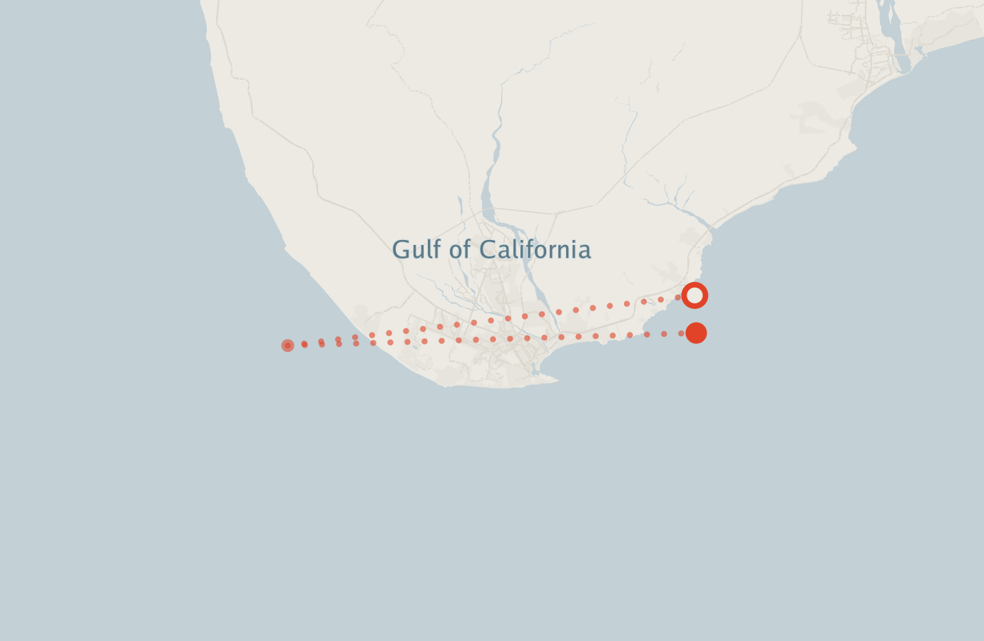 Activity map — real sighting points on an OpenStreetMap basemap