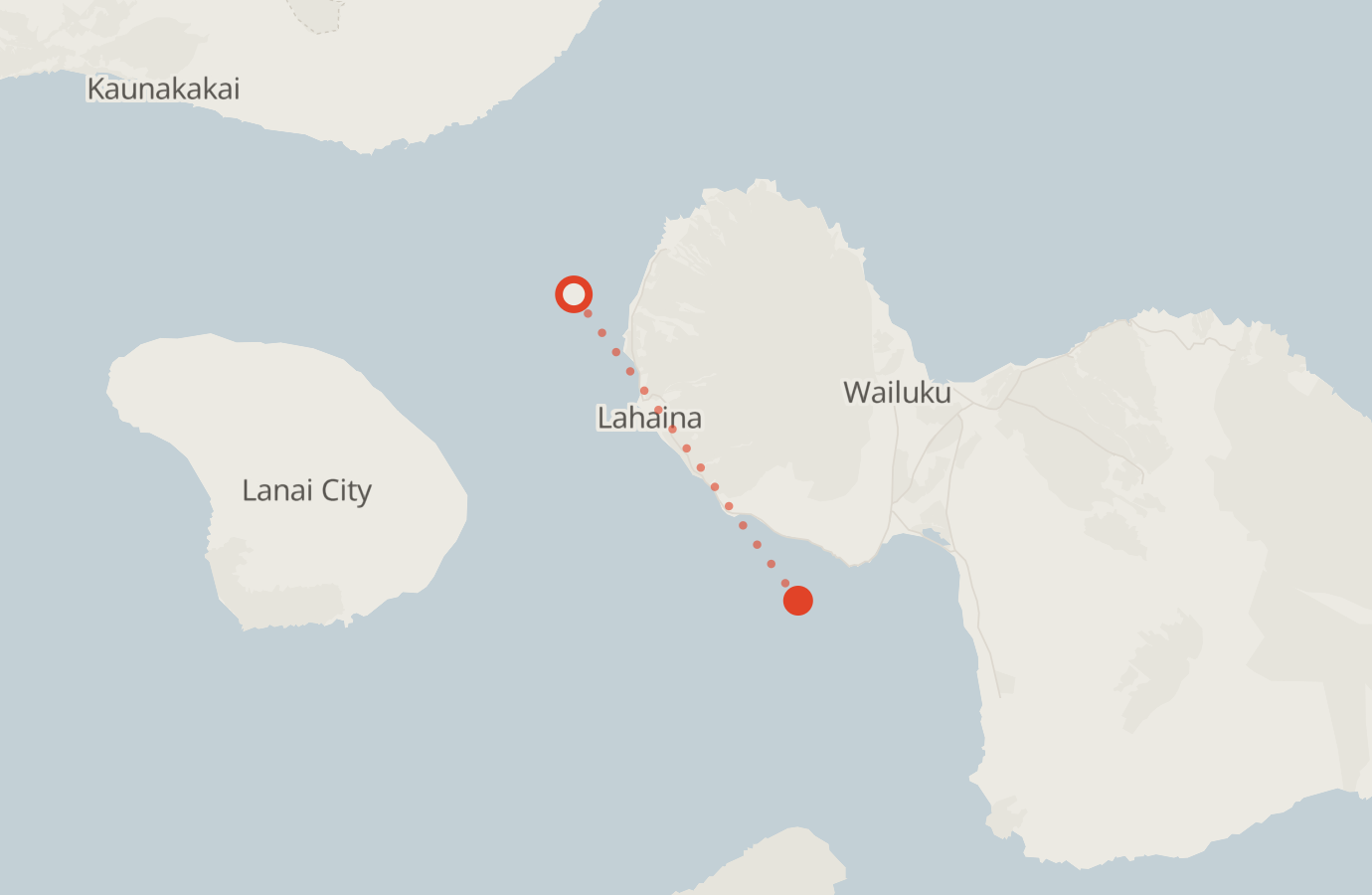 Activity map — real sighting points on an OpenStreetMap basemap