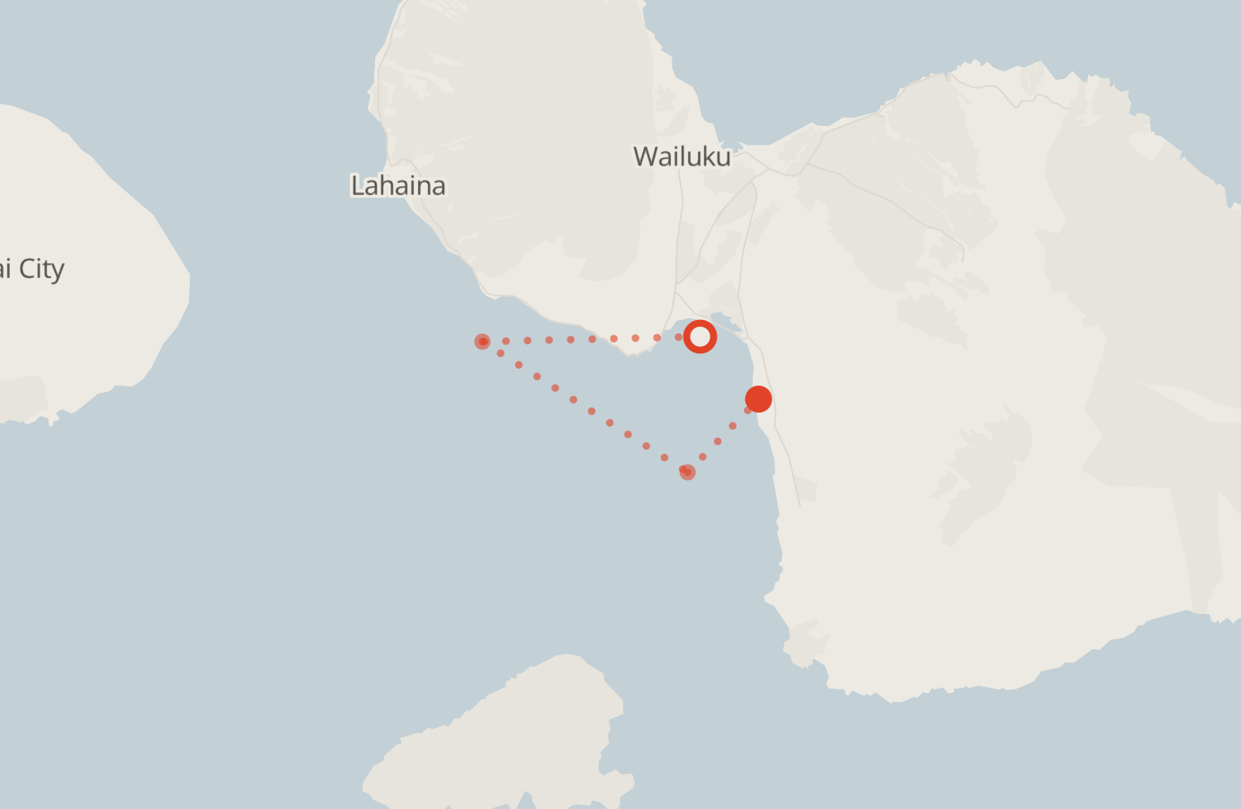 Activity map — real sighting points on an OpenStreetMap basemap
