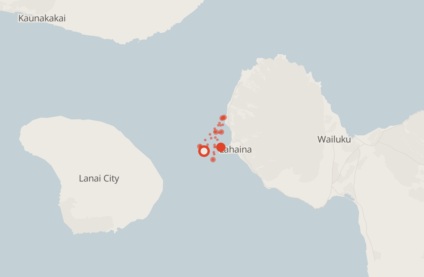 Activity map — real sighting points on an OpenStreetMap basemap