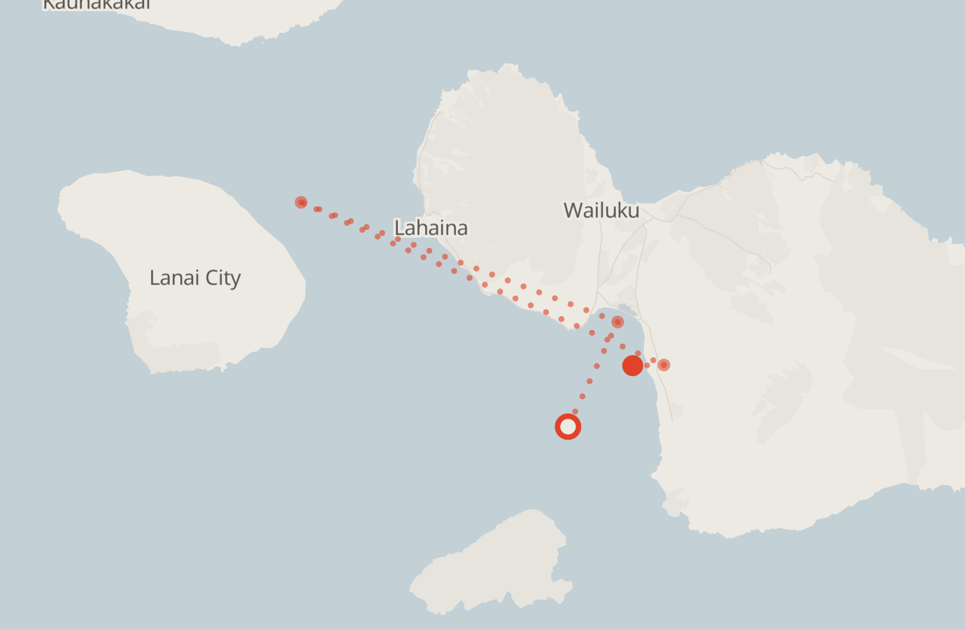 Activity map — real sighting points on an OpenStreetMap basemap