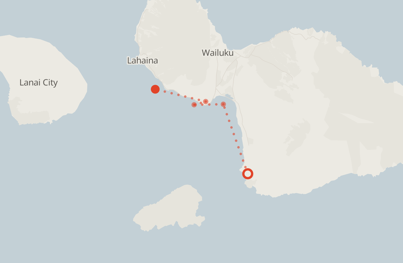 Activity map — real sighting points on an OpenStreetMap basemap