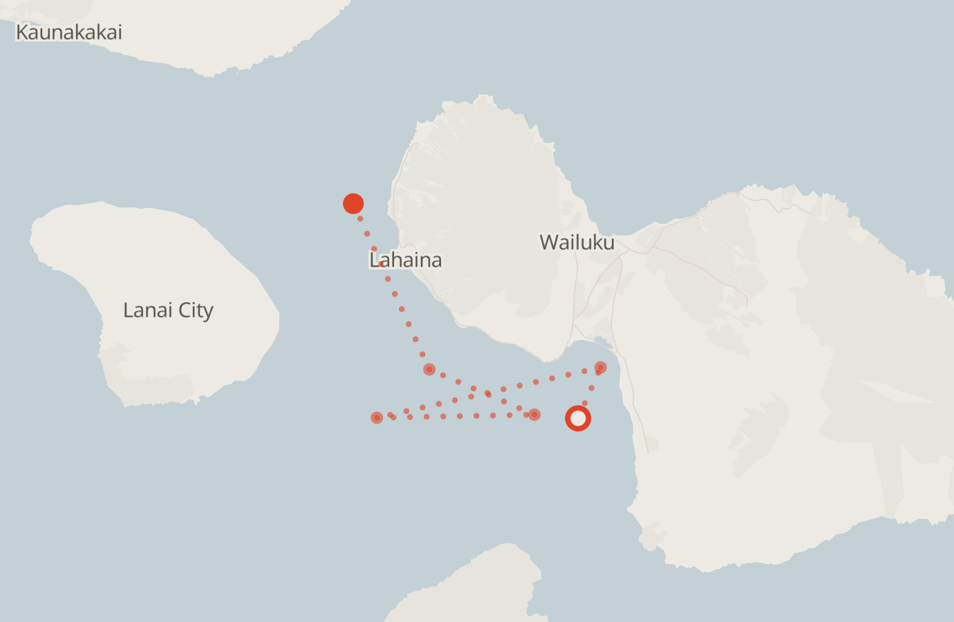 Activity map — real sighting points on an OpenStreetMap basemap