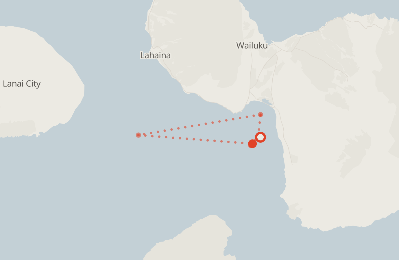 Activity map — real sighting points on an OpenStreetMap basemap