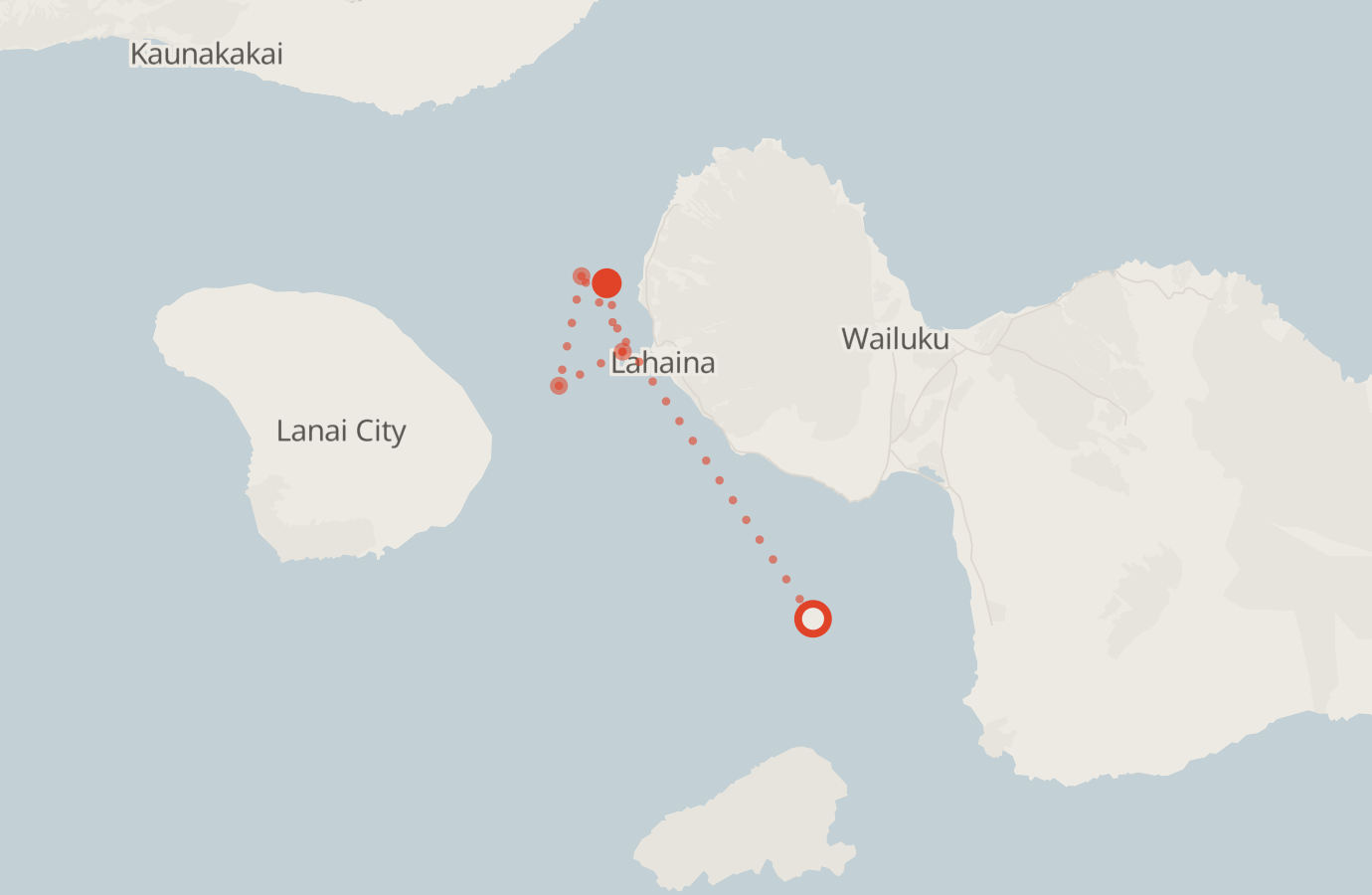 Activity map — real sighting points on an OpenStreetMap basemap