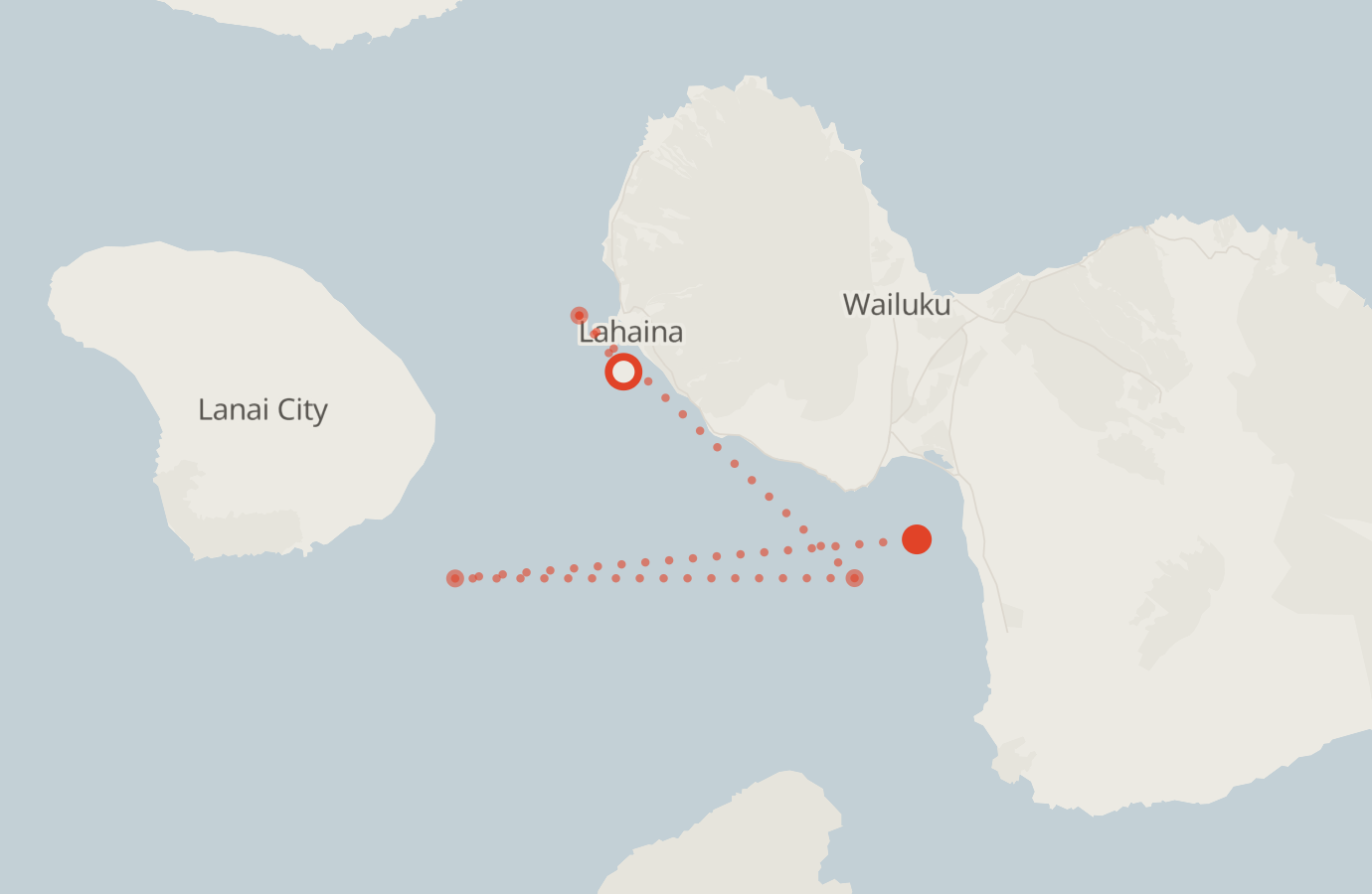 Activity map — real sighting points on an OpenStreetMap basemap