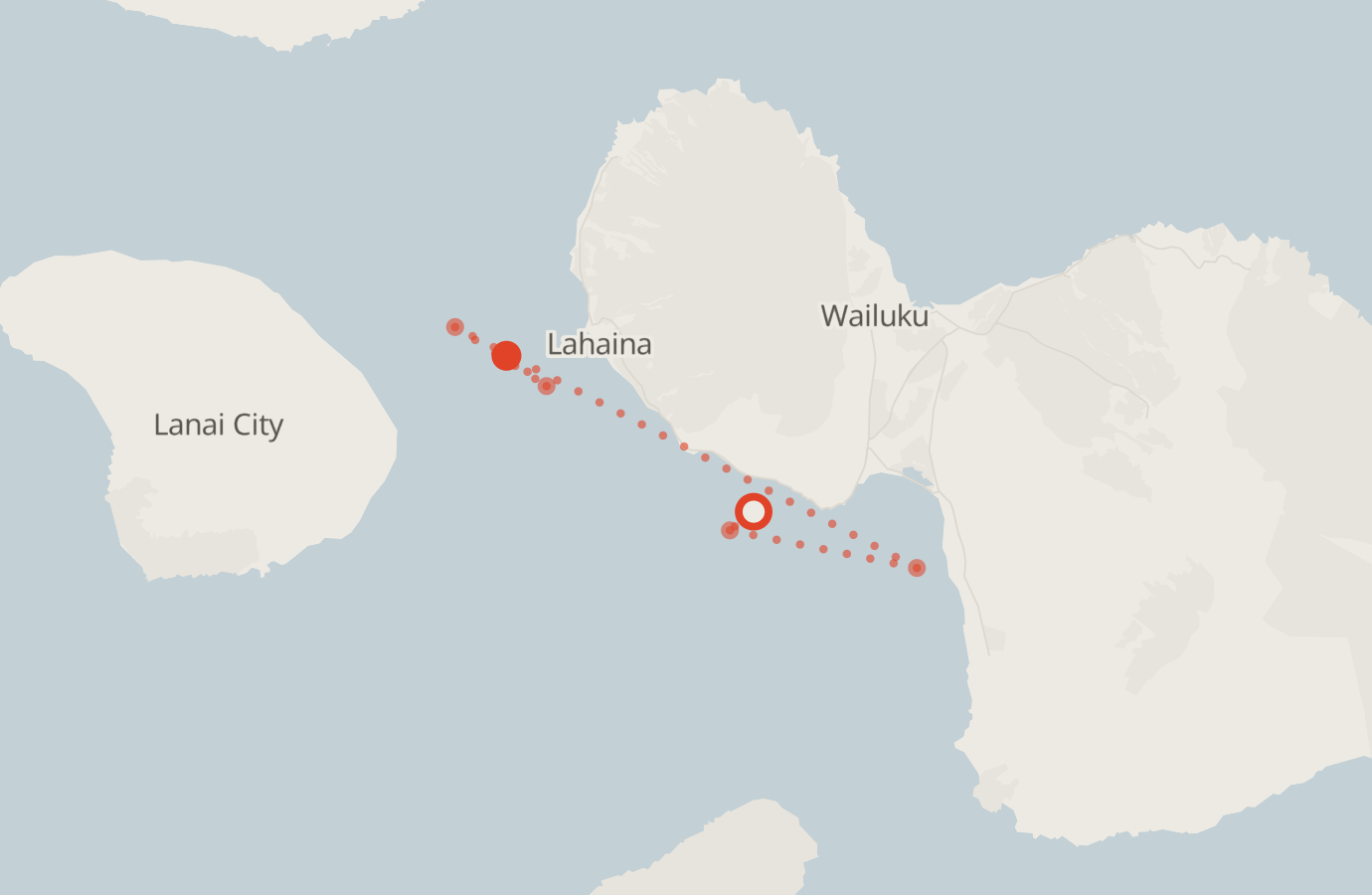 Activity map — real sighting points on an OpenStreetMap basemap