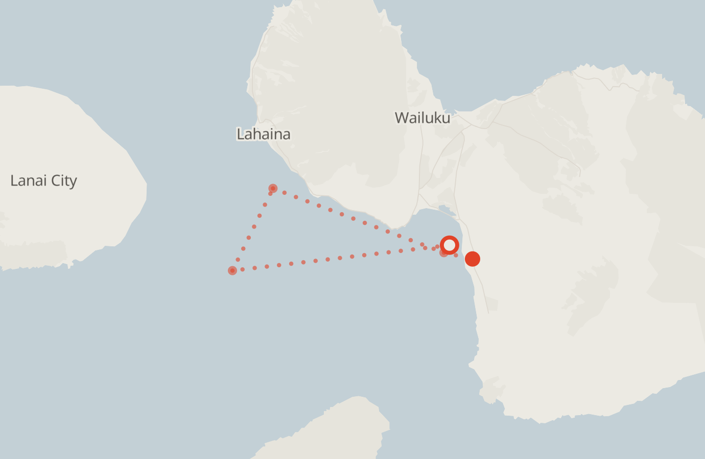 Activity map — real sighting points on an OpenStreetMap basemap