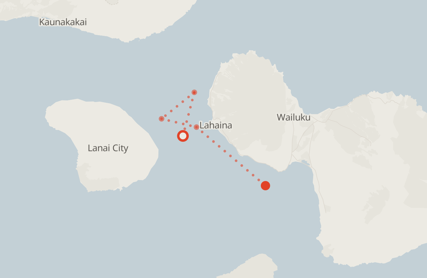 Activity map — real sighting points on an OpenStreetMap basemap