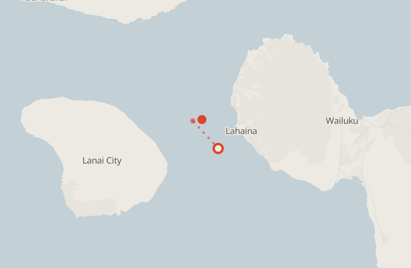 Activity map — real sighting points on an OpenStreetMap basemap