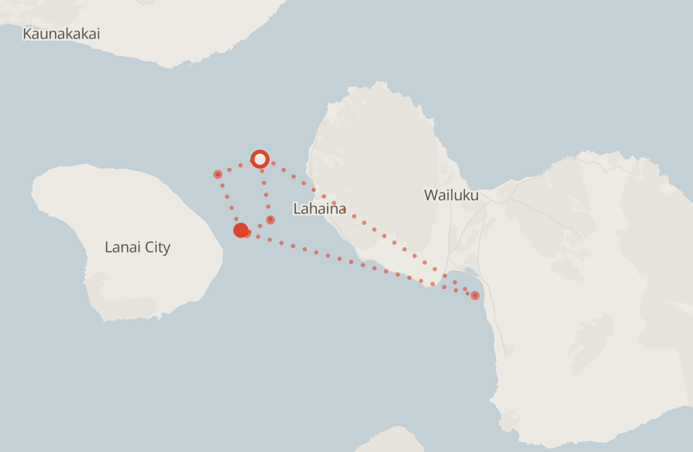 Activity map — real sighting points on an OpenStreetMap basemap