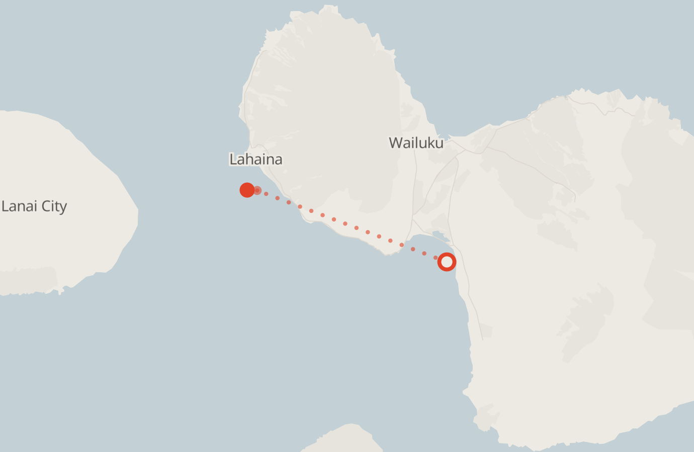 Activity map — real sighting points on an OpenStreetMap basemap