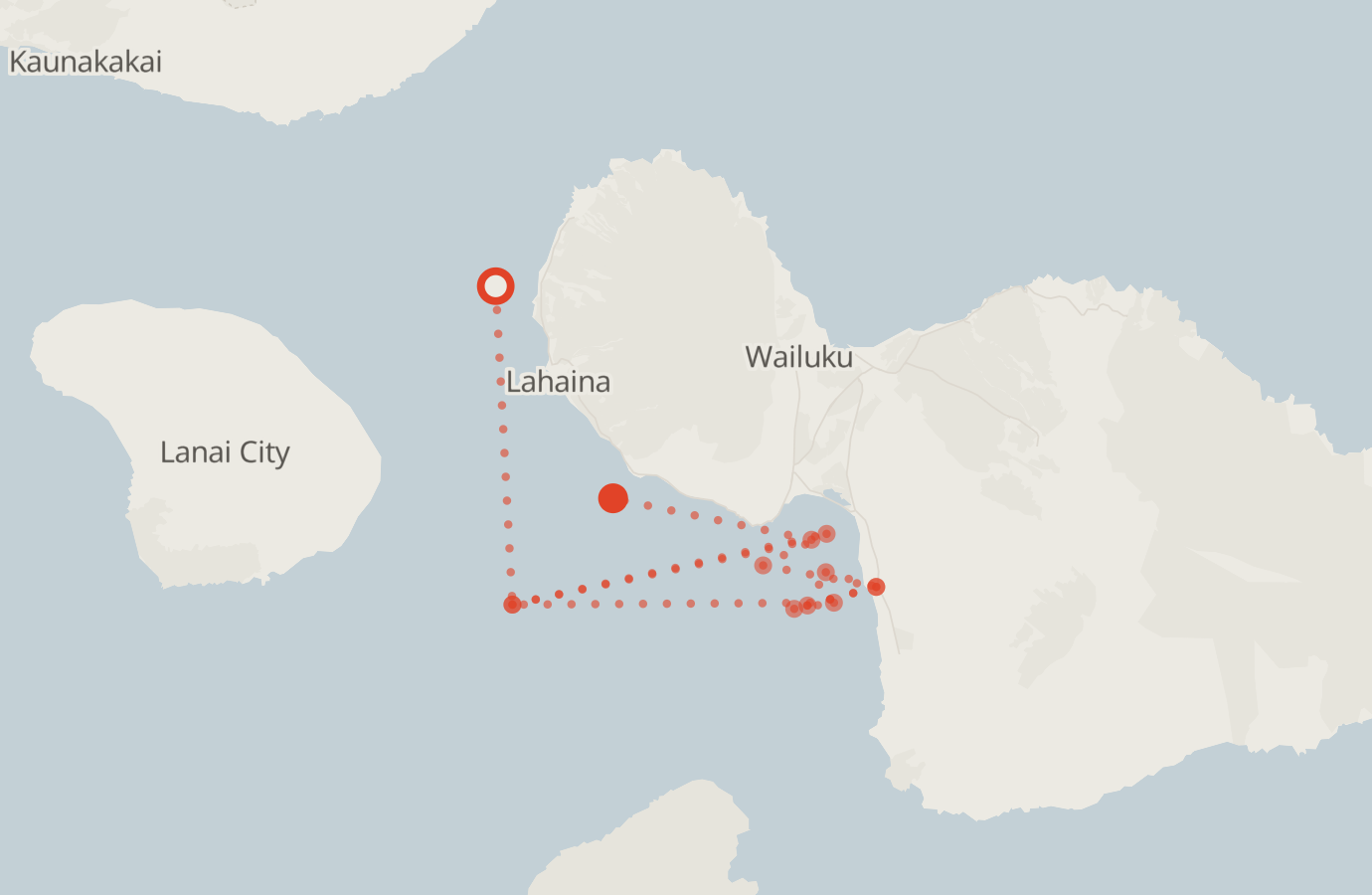 Activity map — real sighting points on an OpenStreetMap basemap