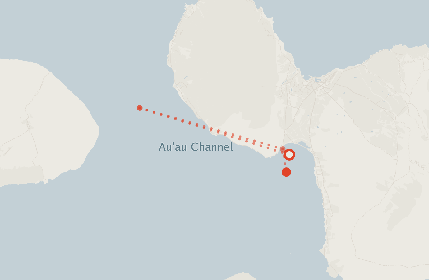 Activity map — real sighting points on an OpenStreetMap basemap