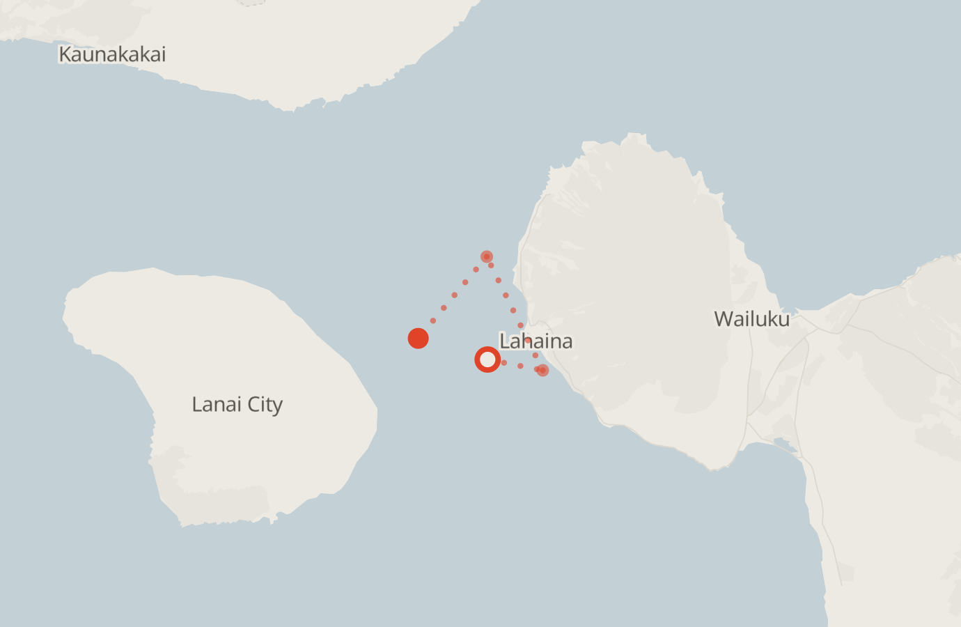Activity map — real sighting points on an OpenStreetMap basemap