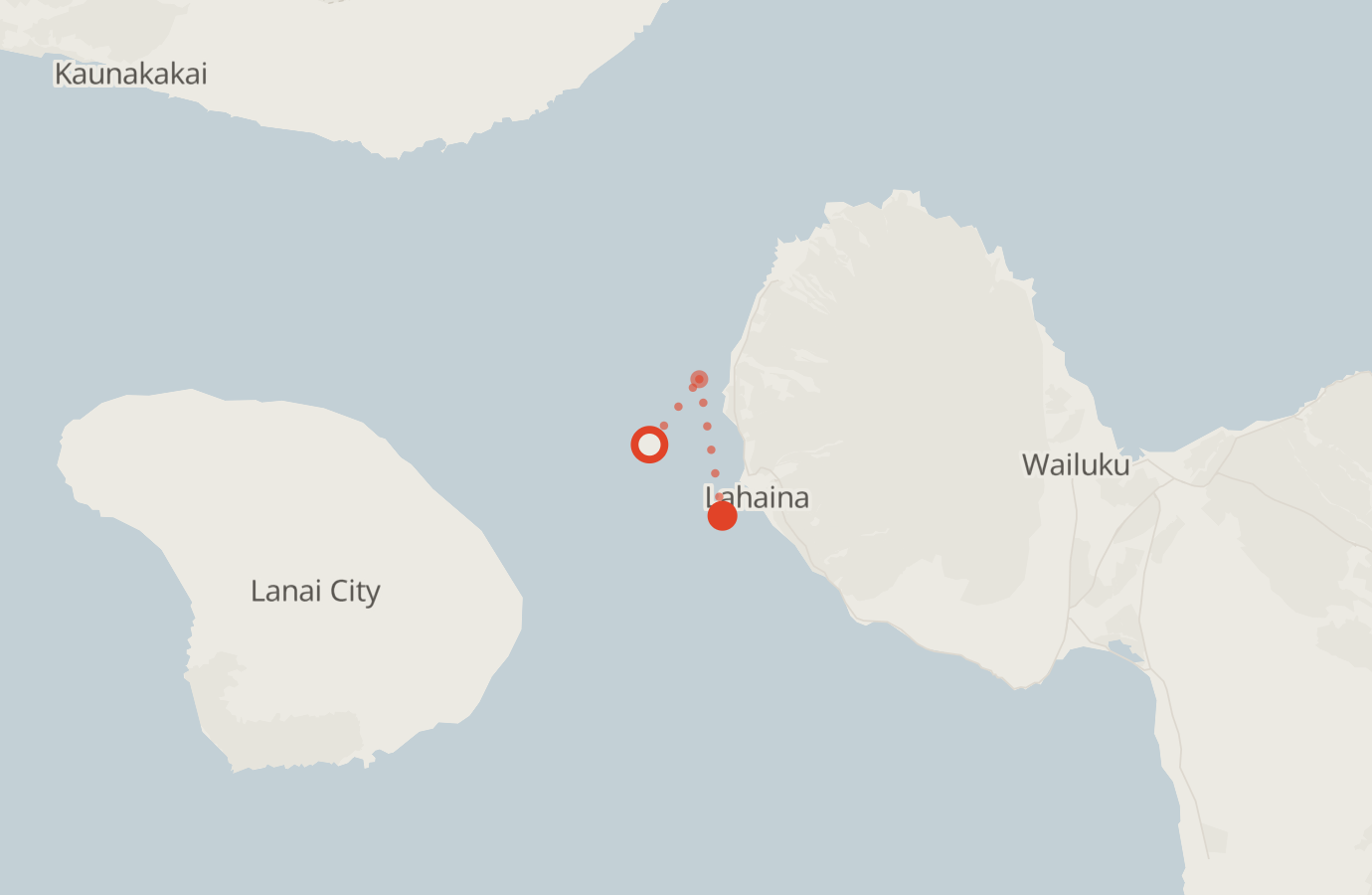 Activity map — real sighting points on an OpenStreetMap basemap