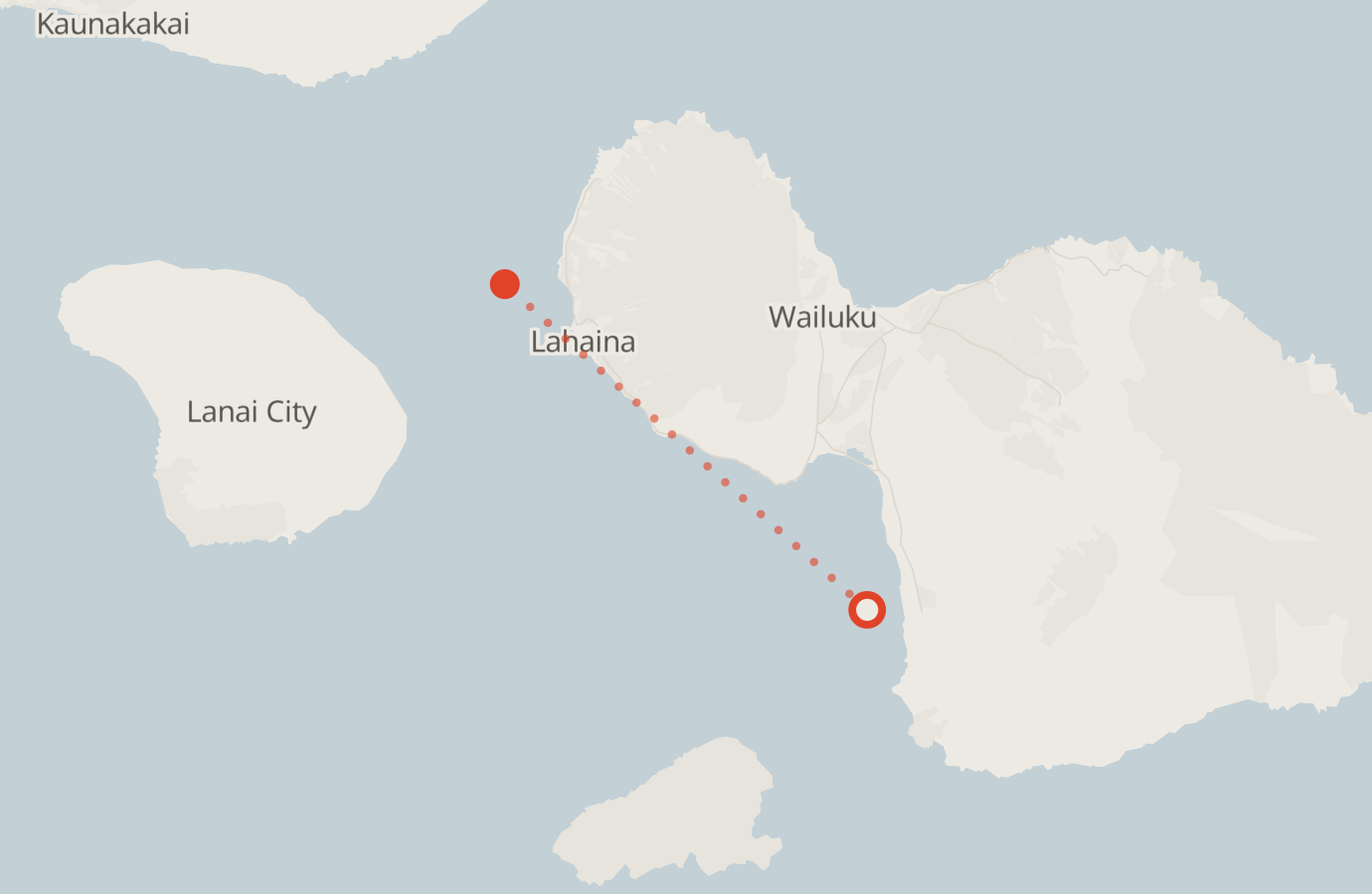 Activity map — real sighting points on an OpenStreetMap basemap