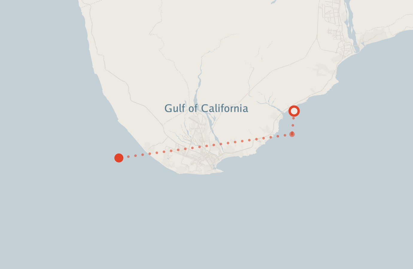 Activity map — real sighting points on an OpenStreetMap basemap