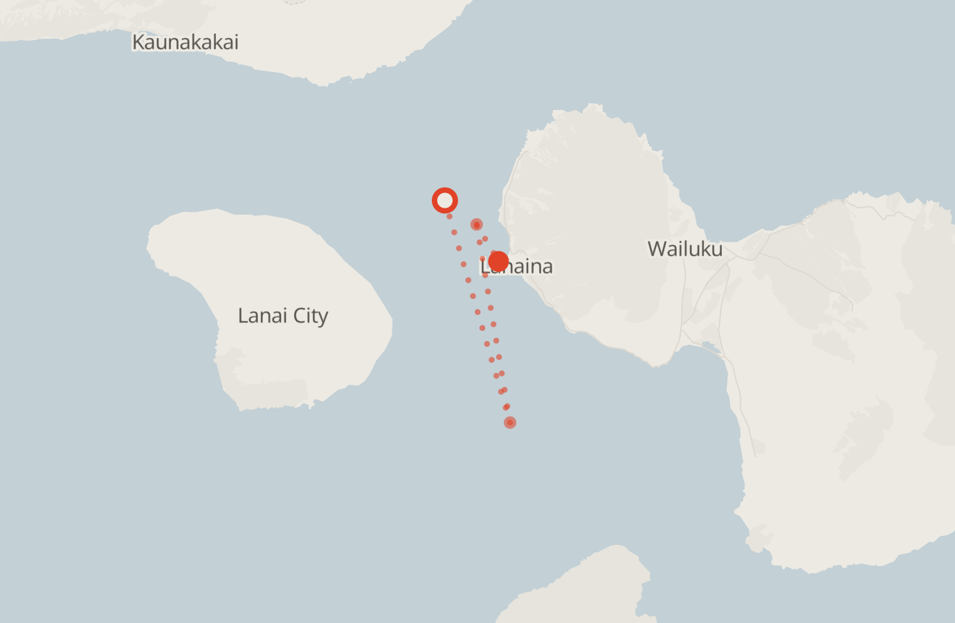 Activity map — real sighting points on an OpenStreetMap basemap