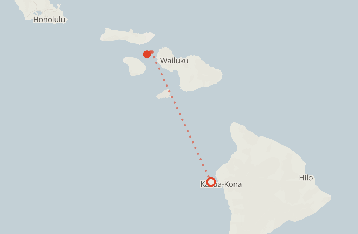 Activity map — real sighting points on an OpenStreetMap basemap