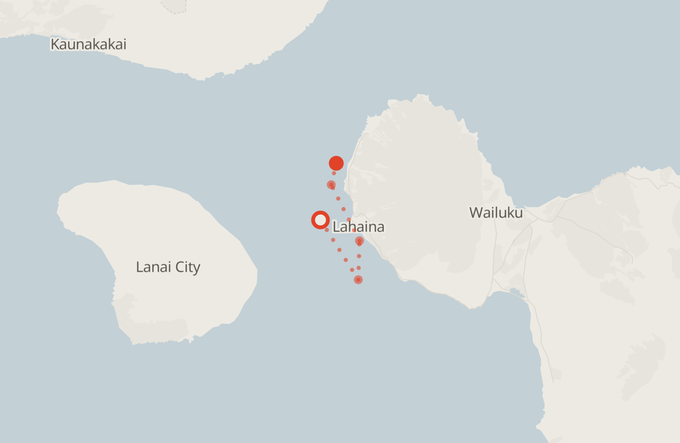 Activity map — real sighting points on an OpenStreetMap basemap