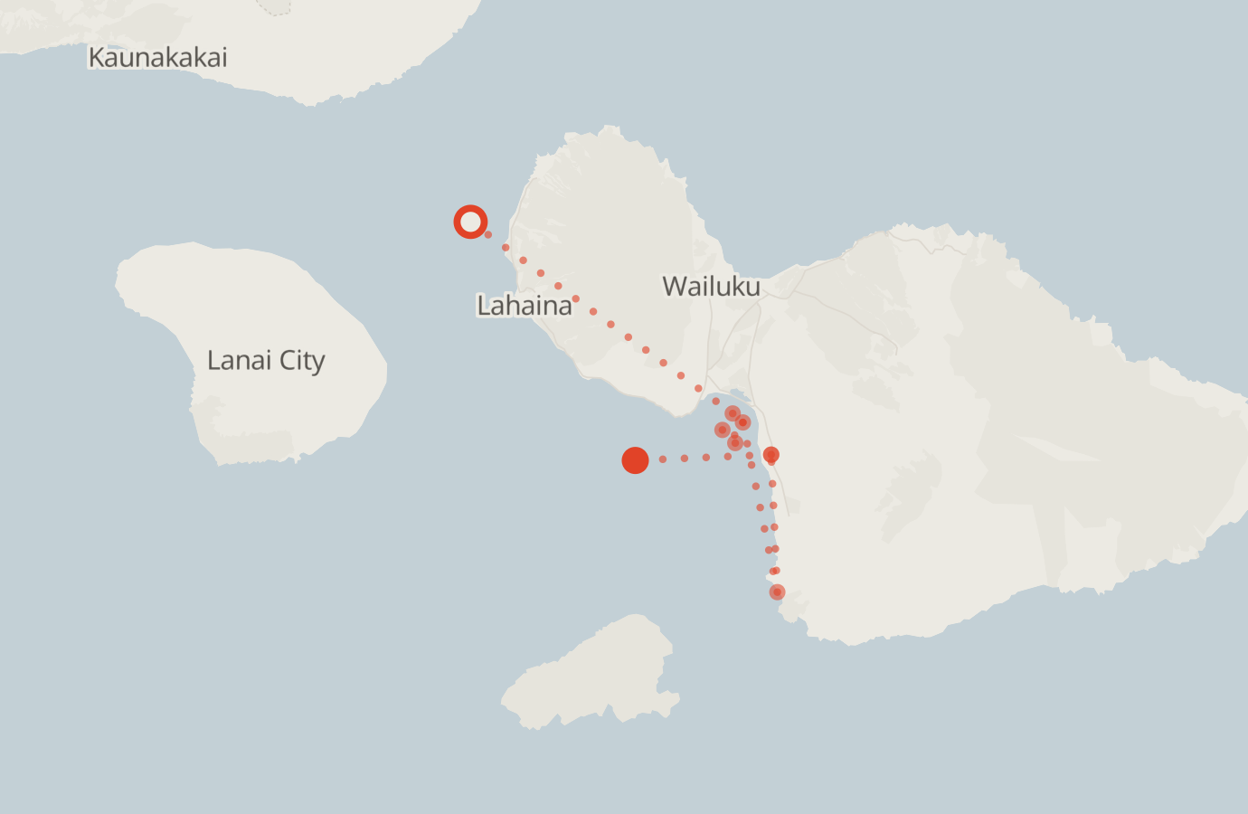 Activity map — real sighting points on an OpenStreetMap basemap