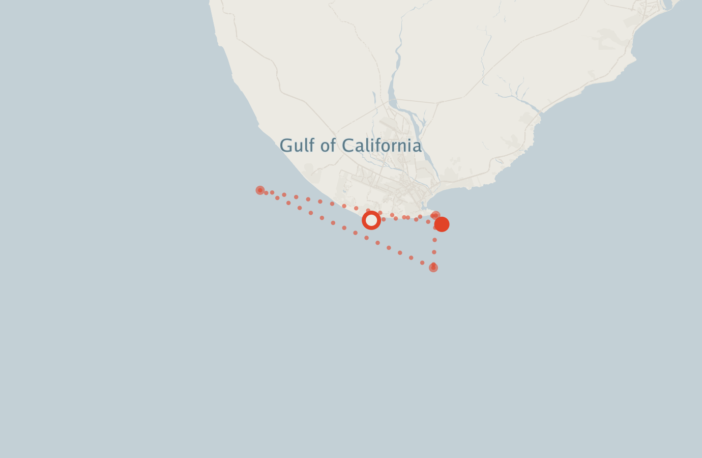 Activity map — real sighting points on an OpenStreetMap basemap