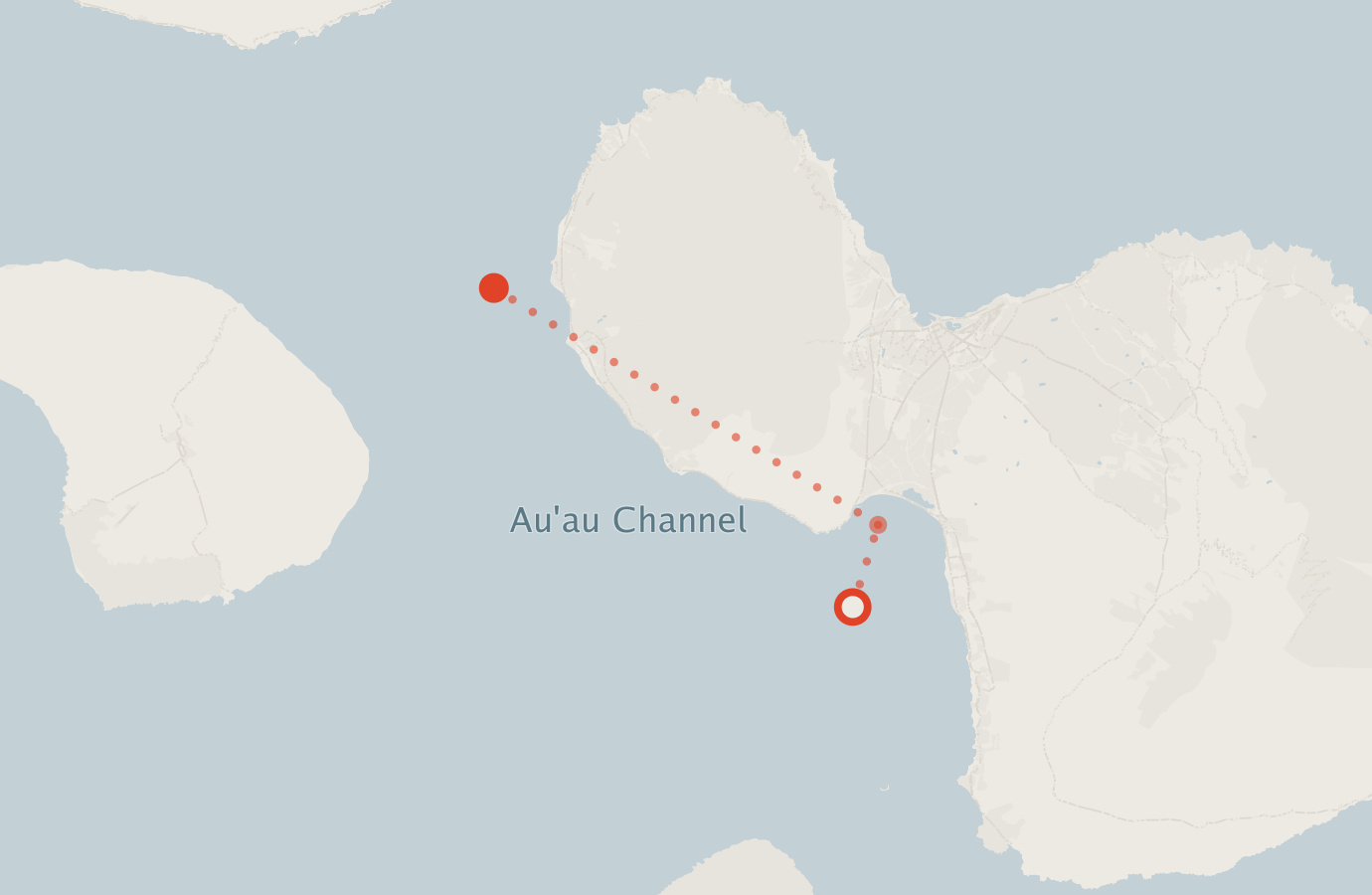 Activity map — real sighting points on an OpenStreetMap basemap