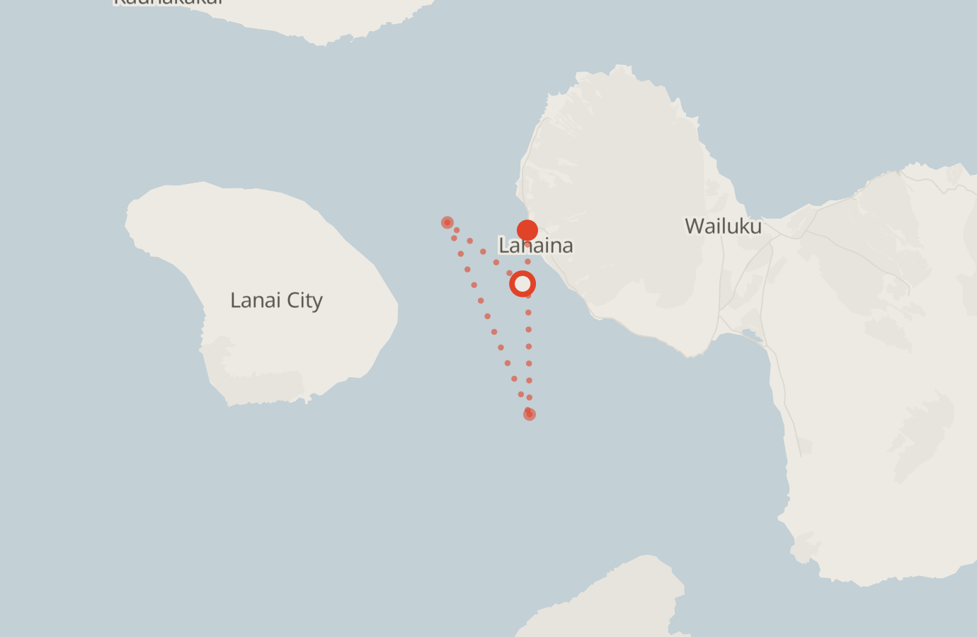 Activity map — real sighting points on an OpenStreetMap basemap