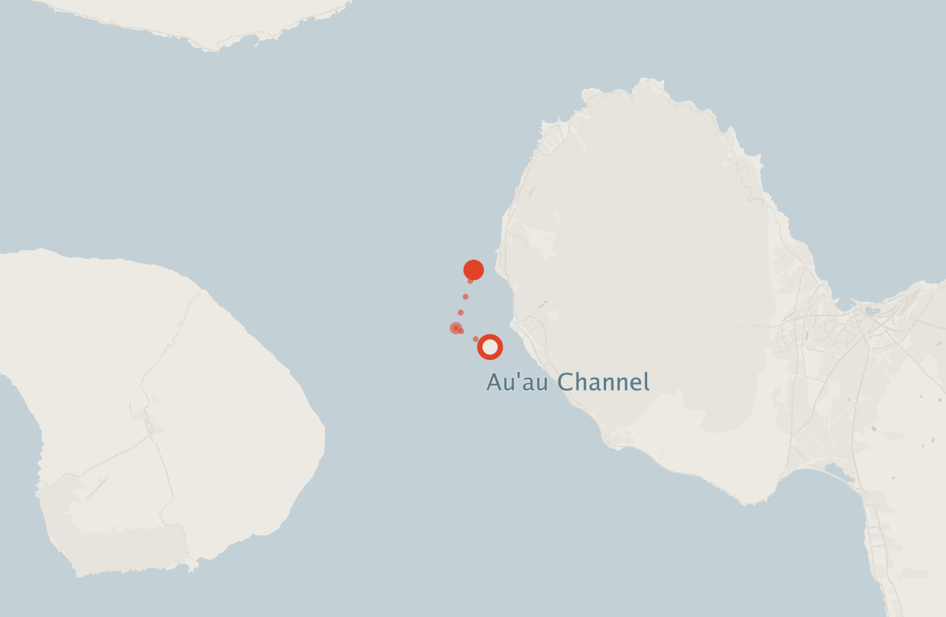 Activity map — real sighting points on an OpenStreetMap basemap