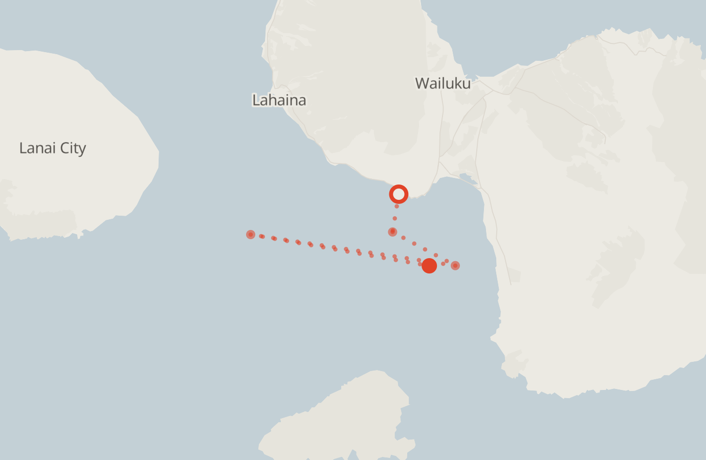 Activity map — real sighting points on an OpenStreetMap basemap