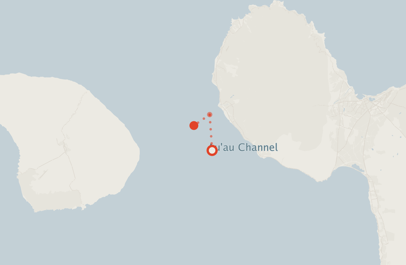 Activity map — real sighting points on an OpenStreetMap basemap