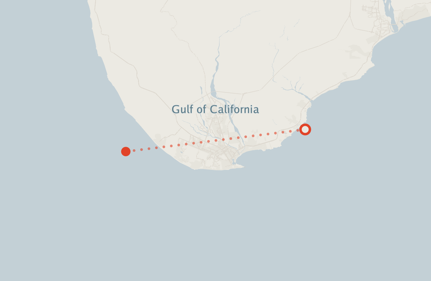 Activity map — real sighting points on an OpenStreetMap basemap