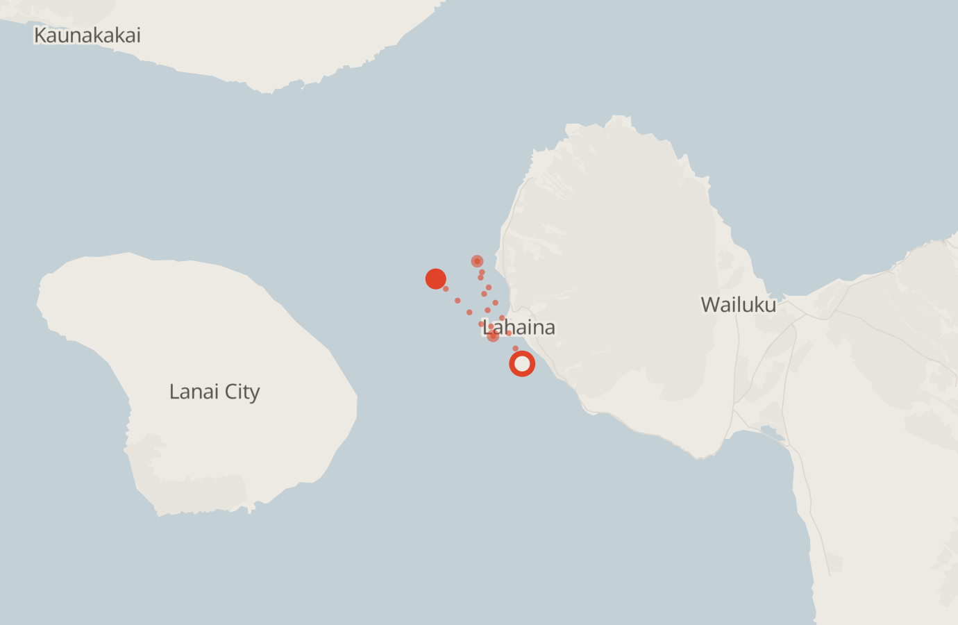 Activity map — real sighting points on an OpenStreetMap basemap