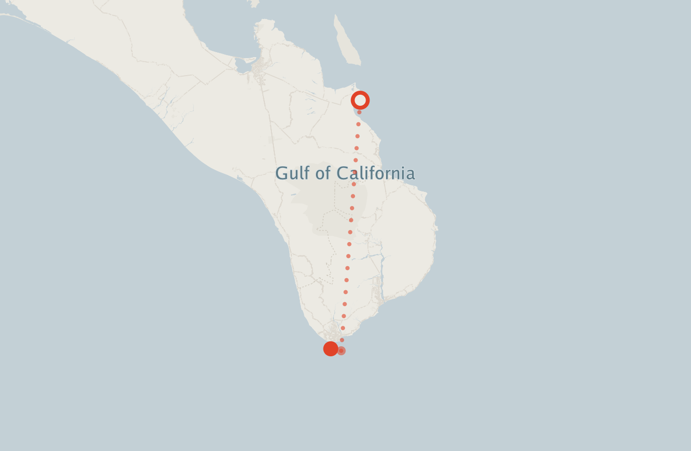 Activity map — real sighting points on an OpenStreetMap basemap