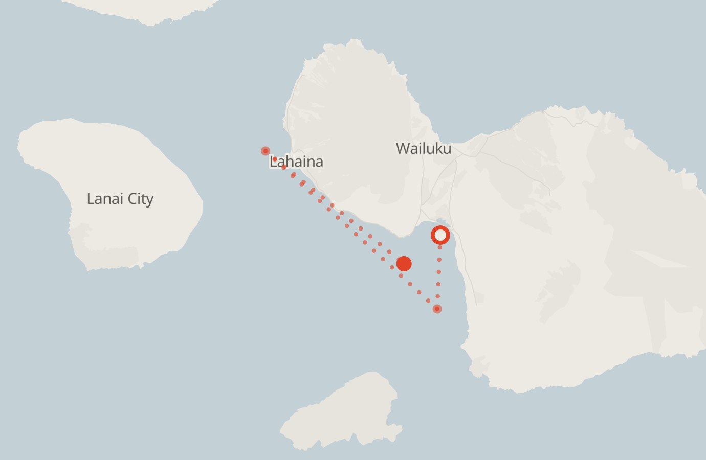 Activity map — real sighting points on an OpenStreetMap basemap