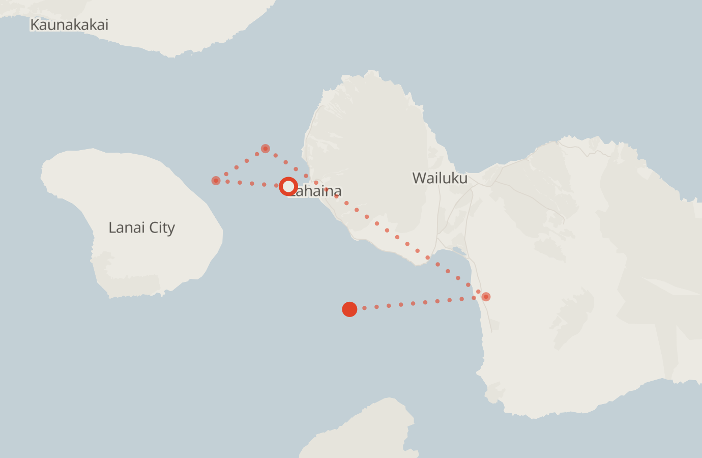 Activity map — real sighting points on an OpenStreetMap basemap