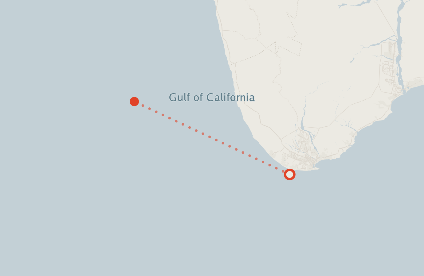 Activity map — real sighting points on an OpenStreetMap basemap