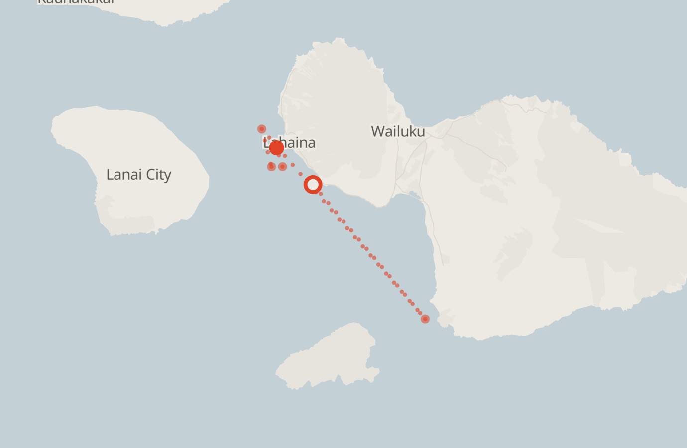 Activity map — real sighting points on an OpenStreetMap basemap