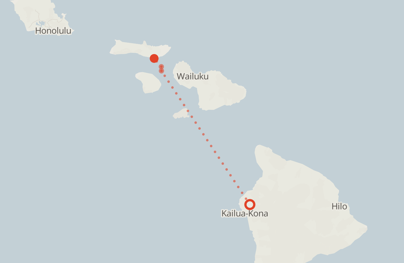Activity map — real sighting points on an OpenStreetMap basemap