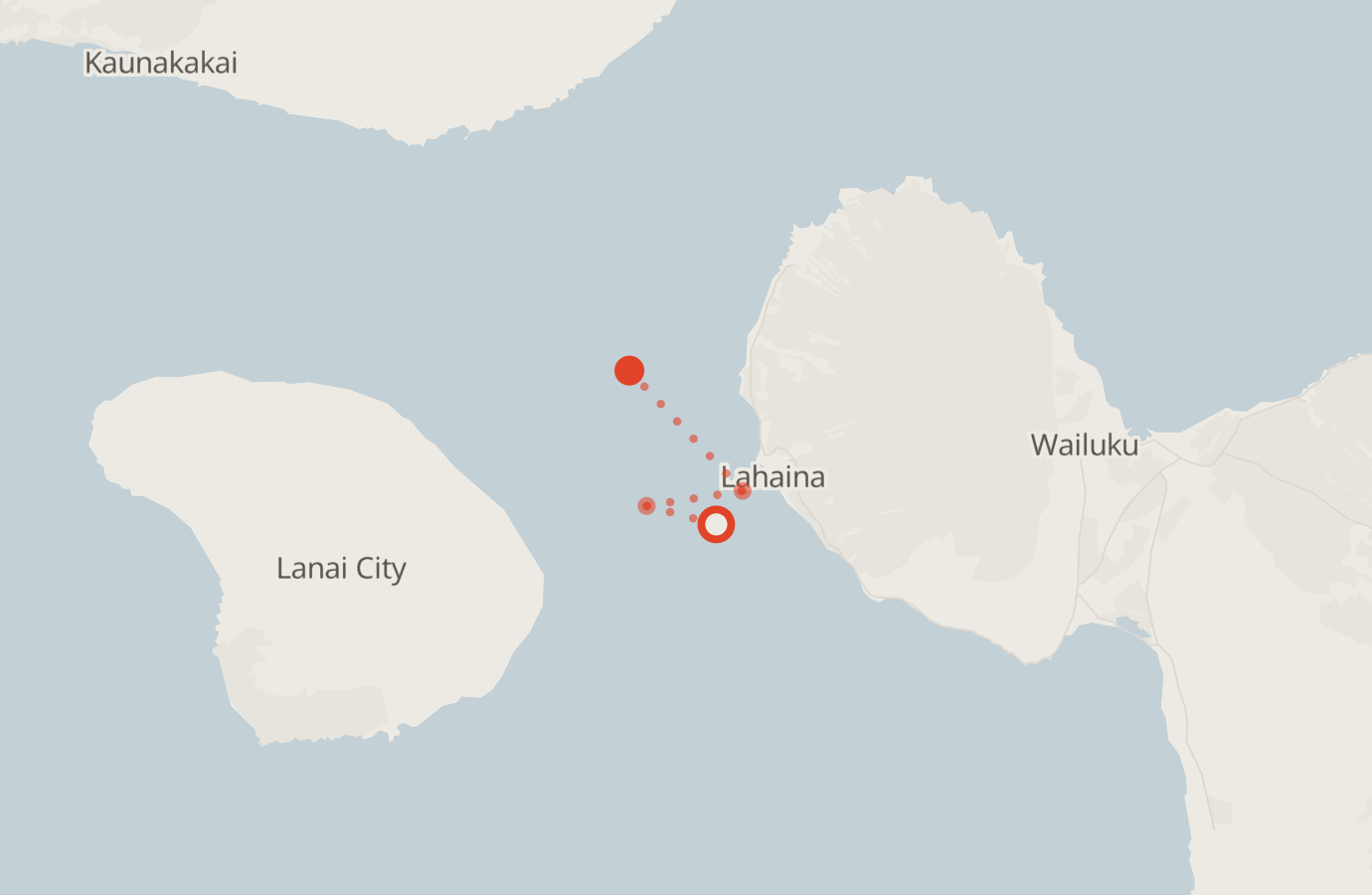 Activity map — real sighting points on an OpenStreetMap basemap