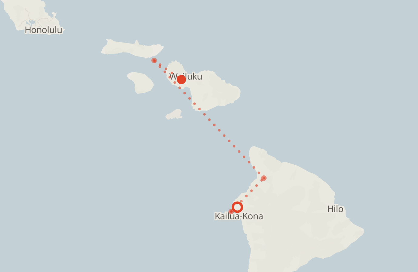Activity map — real sighting points on an OpenStreetMap basemap