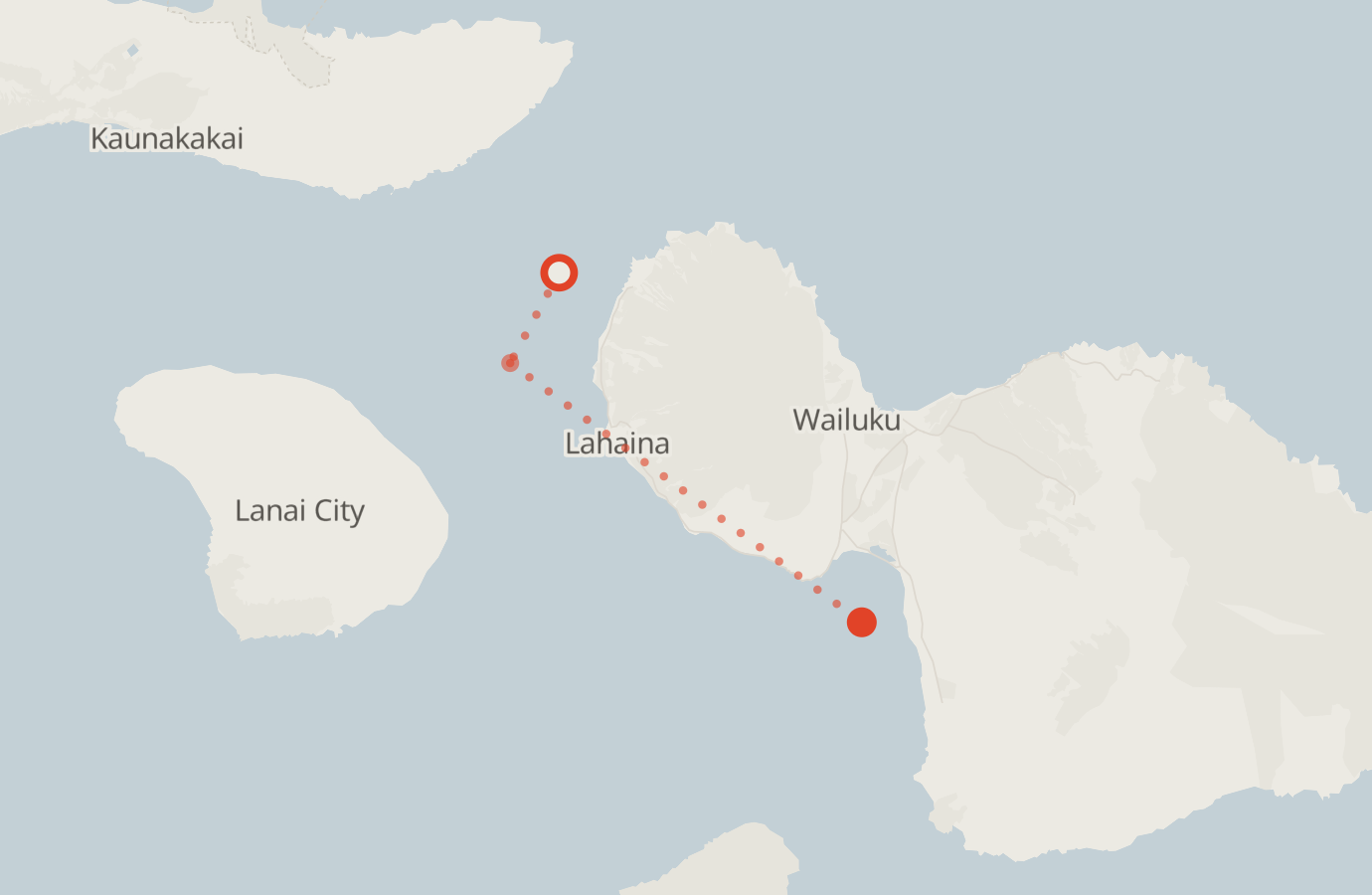 Activity map — real sighting points on an OpenStreetMap basemap