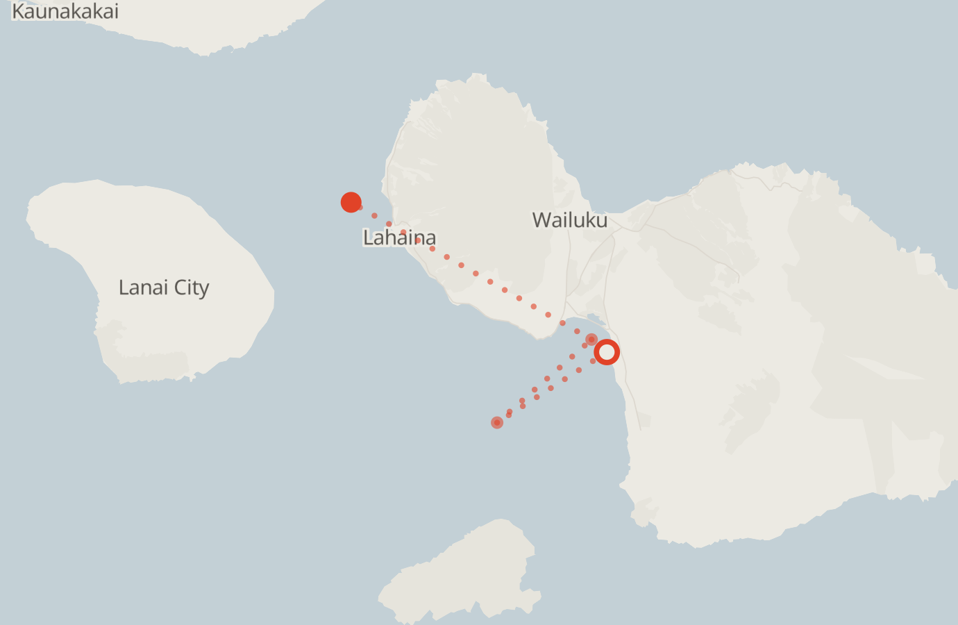 Activity map — real sighting points on an OpenStreetMap basemap