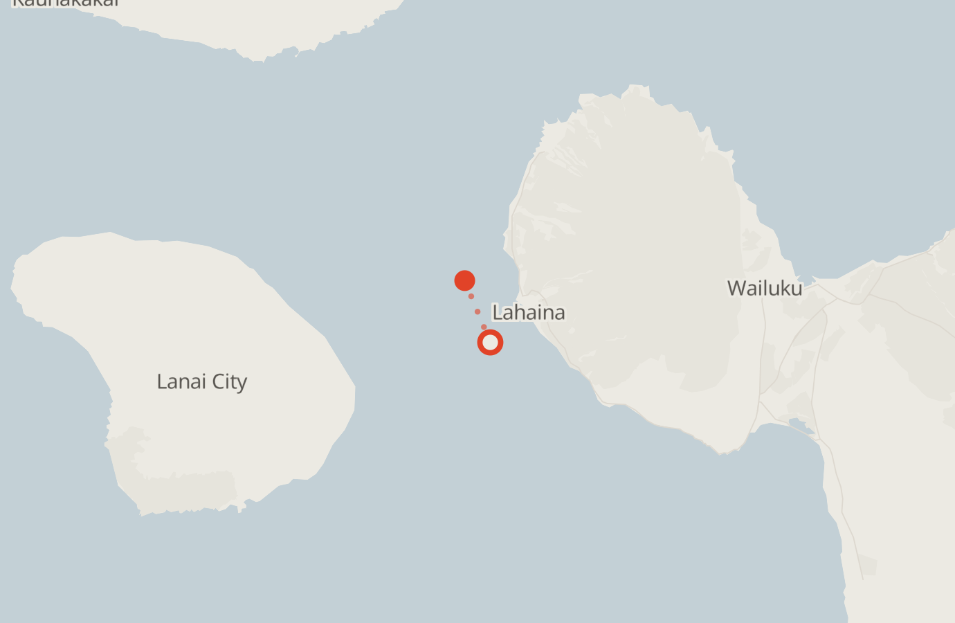 Activity map — real sighting points on an OpenStreetMap basemap